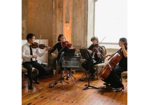 String Quartet Live Music for Weddings and Events - 1/3