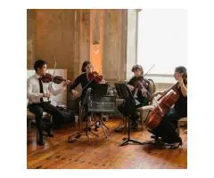 String Quartet Live Music for Weddings and Events