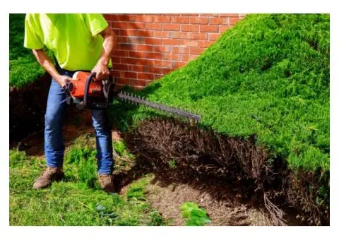 Skill Wide Projects Offering Trusted Landscaping Services in Sydney