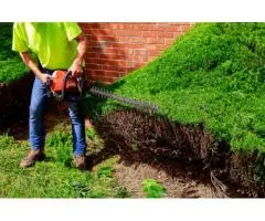 Skill Wide Projects Offering Trusted Landscaping Services in Sydney