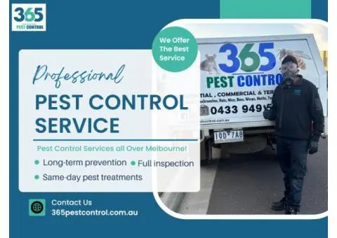 Pest Control Kew – Expert Pest Control in Kew, Melbourne