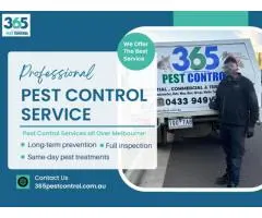 Pest Control Kew – Expert Pest Control in Kew, Melbourne