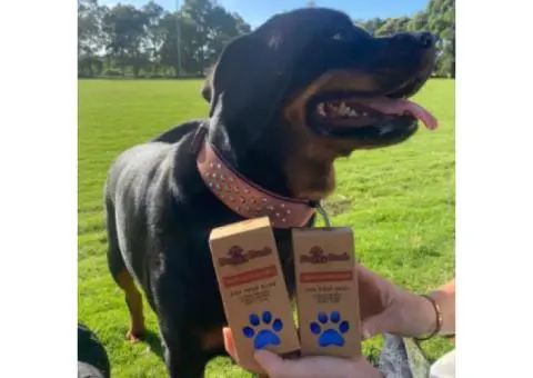 Compost at Home? Meet Your Match with home compostable dog poop bags