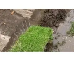 Reliable Plumbing Services