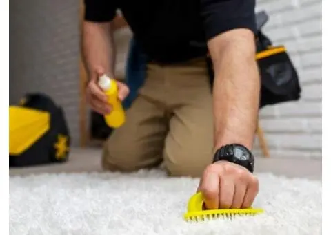Professional Carpet Cleaning in Shell Cove - WCG Cleaning