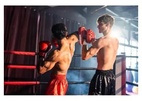 Train Strong at the Best Muay Thai Gym in Sydney – 8 LIMBS