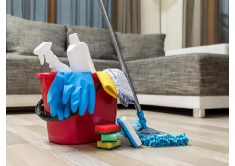 Why Upholstery Cleaning Is Important for a Healthy Home Environment? - 3/3