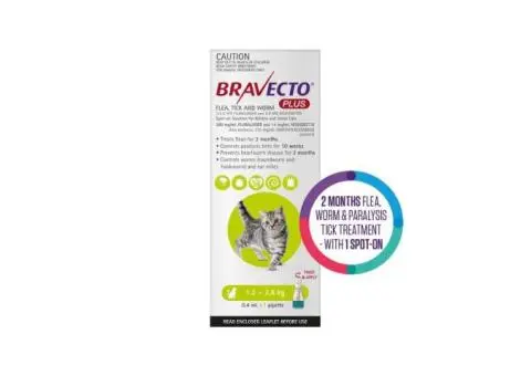 Bravecto Plus for Small Cats 1.2 – 2.8 kg
