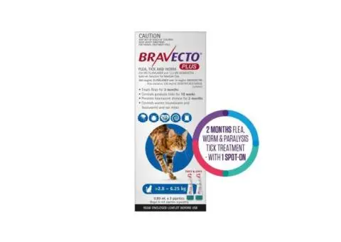 Bravecto Plus for Medium Cats 2.8 – 6.25 kg