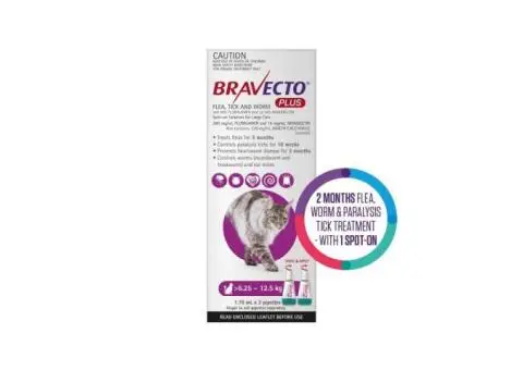 Bravecto Plus for Large Cats 6.25 – 12.5 kg