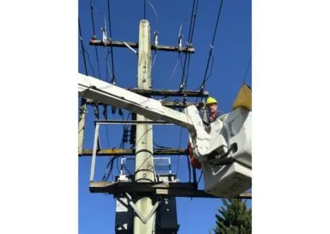 Level 2 Electrician Ashfield