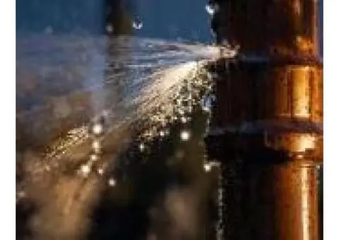 Expert Plumbing Solutions Near You