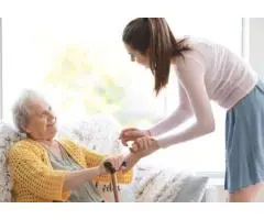 Is Your Ndis Provider in Narellan Truly Responsive to Your Needs?