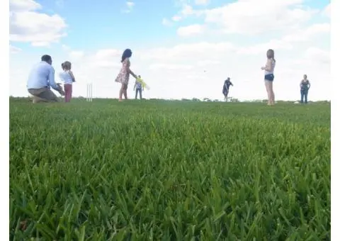 South Australia’s Experts in Lush, Healthy Lawns and Outdoor Spaces