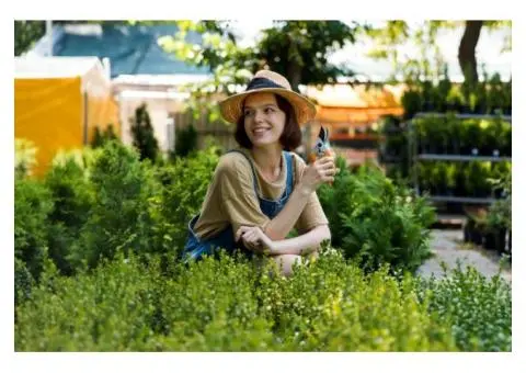 Trusted NDIS Yard Maintenance Services in Brisbane North