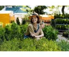 Trusted NDIS Yard Maintenance Services in Brisbane North