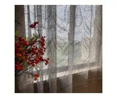 Sheer Curtains for a Brighter Living Room