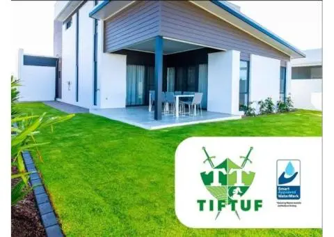 Best Lawns For Adelaide