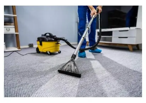 Affordable Carpet Steam Cleaning Double Bay | Everdry