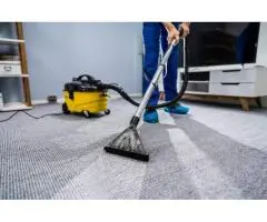 Affordable Carpet Steam Cleaning Double Bay | Everdry