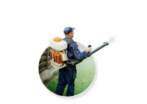 Pest Control Penrith