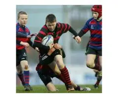 Love Convenience? shop training balls online Easily!