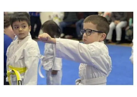Build Confidence, Growth, and Lifelog Well-Bein With AMAF's Karate Classes