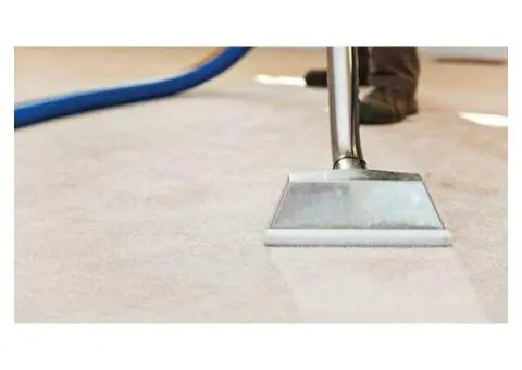 Trusted Maroubra Carpet Cleaners for Fresh, Spotless Carpets