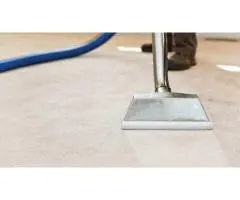 Trusted Maroubra Carpet Cleaners for Fresh, Spotless Carpets