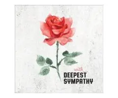 Get Sympathy Cards at Wholesale for Better Value and Gentle Impact