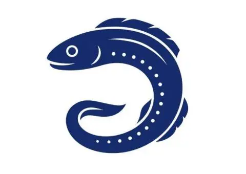 ParraDigital - Digital Marketing Agency Parramatta