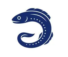 ParraDigital - Digital Marketing Agency Parramatta