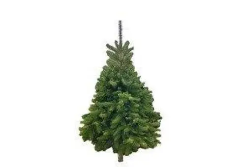 Decor with a Beautiful Christmas Tree Collar in Brisbane