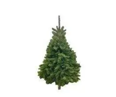 Decor with a Beautiful Christmas Tree Collar in Brisbane