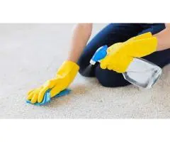 Expert Carpet Cleaning in Brighton‑Le‑Sands