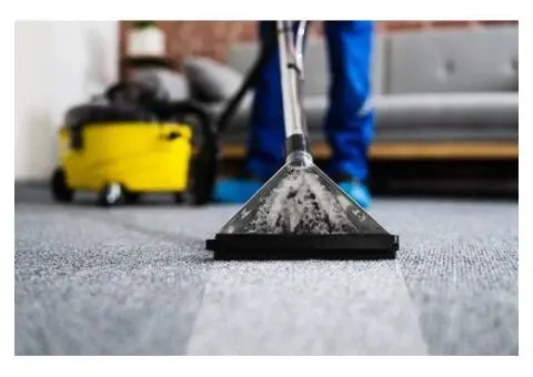 Professional Upholstery Cleaning Services