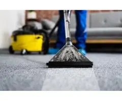 Professional Upholstery Cleaning Services