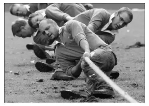 Small Business Tax Advisor