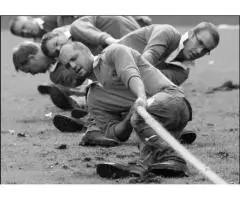 Small Business Tax Advisor