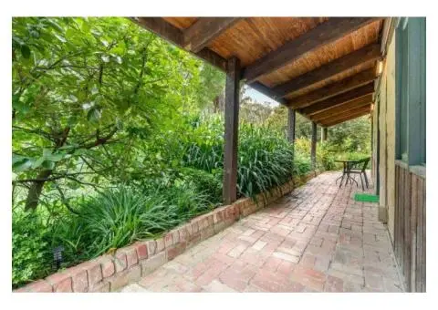 Enjoy Your Forest Vibe with Accommodation Near Puffing Billy