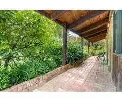 Enjoy Your Forest Vibe with Accommodation Near Puffing Billy