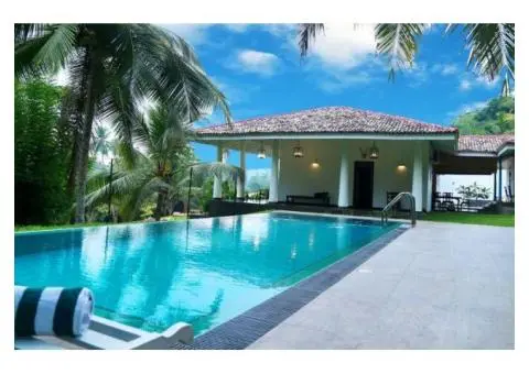 Premium Modern Swimming Pool Designs for Every Home