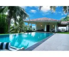 Premium Modern Swimming Pool Designs for Every Home