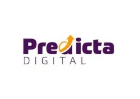 Affordable SEO Services for Small Businesses | Predicta Digital