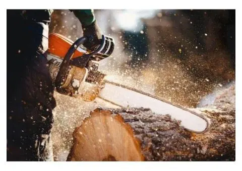 Tree Lopping North Shore