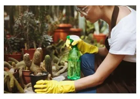 Green Commercial Cleaning Sydney | Hope Cleaning Services
