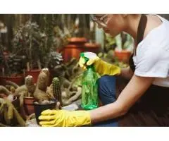 Green Commercial Cleaning Sydney | Hope Cleaning Services