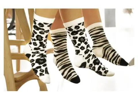 Bring Colour To Your Steps Through Animal Socks in Australia