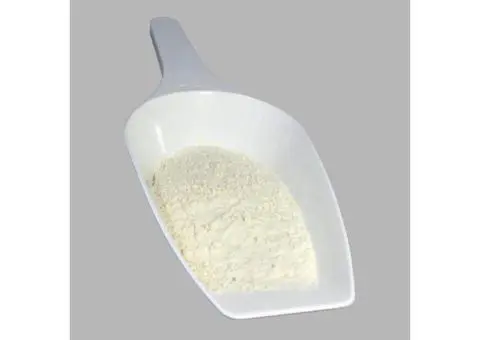 Improve Your Sourdough with Quality Diastatic Malt