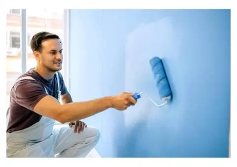 Bold Moves With the Best Painters in Melbourne - 3/3